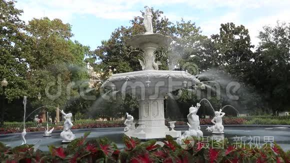 福赛斯公园的喷泉视频