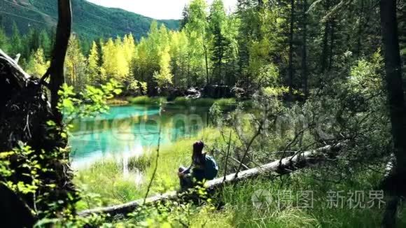 背着背包的旅游妇女坐在森林中蓝山湖边的一棵倒下的树上