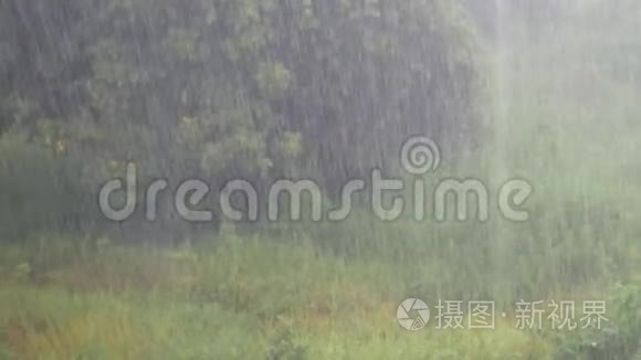 下雨天视频