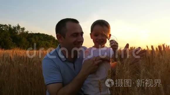 农夫和他的儿子对小麦的收获很满意，在日落的背景下在田野上。 这就是