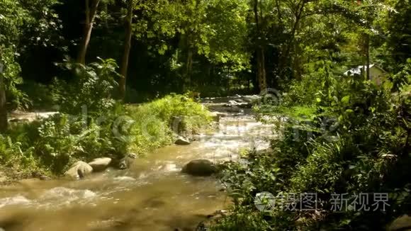 雨季的帕尼基河美景视频