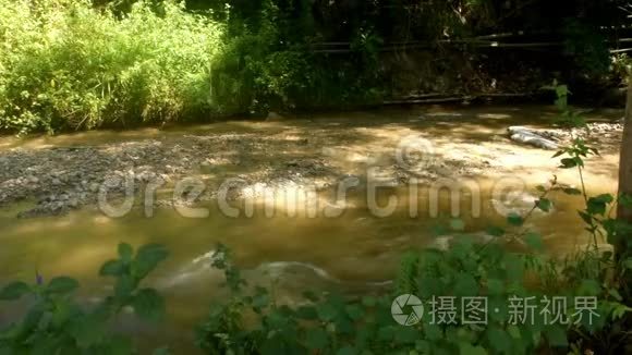 雨季的帕尼基河美景视频