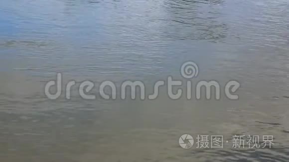 河流水面视频