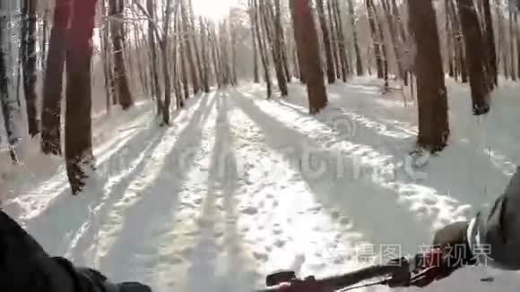 在雪地森林里骑自行车视频