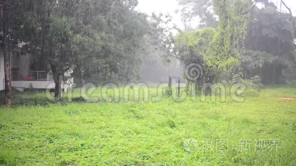 下雨天视频