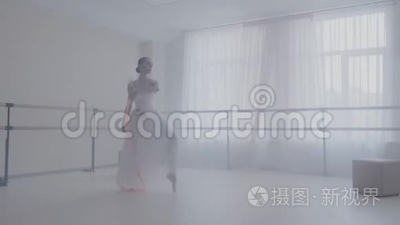 芭蕾舞演员和玫瑰乐队一起跳舞视频