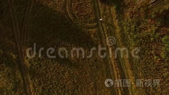 鸟瞰乡间道路，树木之间有轮胎痕迹。 录像。 日落美景与一个男人