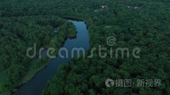 用河流和湖泊鸟瞰森林视频