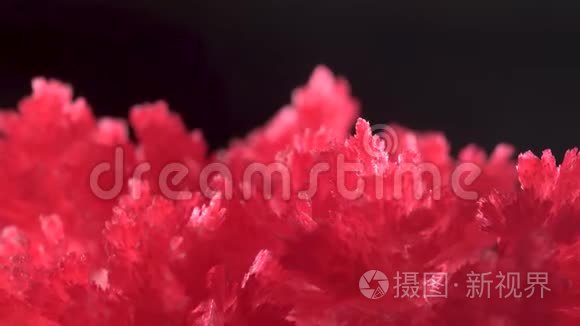 美丽的红色晶体出现是由于家庭经验的化学物质。 结晶过程发生了
