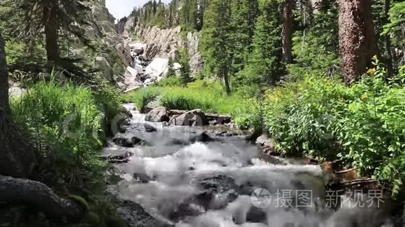 山涧瀑布下视频