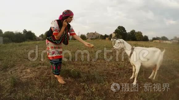 穿着乌克兰传统手工服装的女孩在田里给一只白山羊提供一个苹果