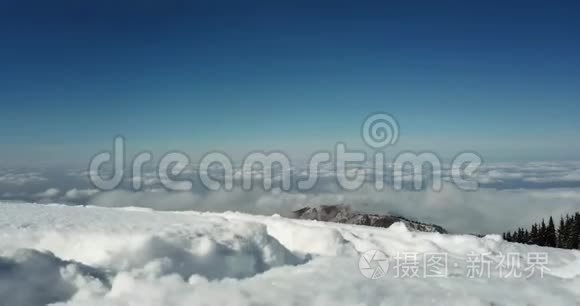 雪，云，松树的全景.. 雪晶是可见的。