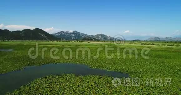 在阳光明媚的日子里，在山上鸟瞰斯卡达尔湖的景观。 黑山。 湖的领地