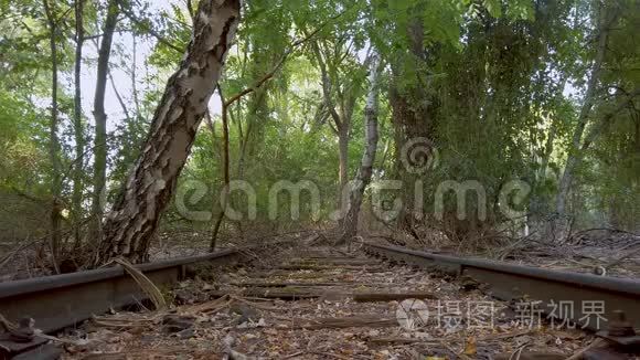 德国柏林森林中废弃的铁路轨道视频