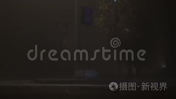 汽车在夜间在雾中穿过人行横道或人行横道