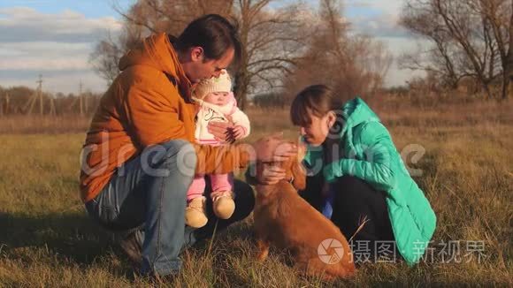 爸爸和孩子们在草地上拍拍狗。