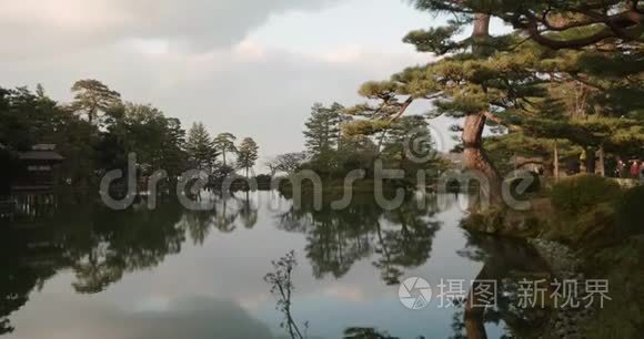 美丽的镜子，就像湖，树在夕阳下闪耀着金色的光芒