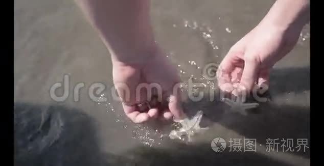 海滩上的海星视频