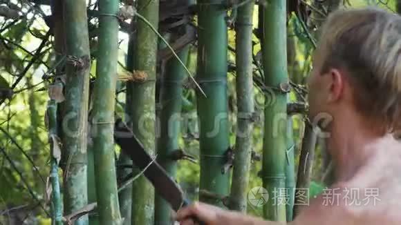 白种人在森林里用砍刀砍竹视频