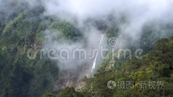 厚林雾与烟雾漫山遍野的电影