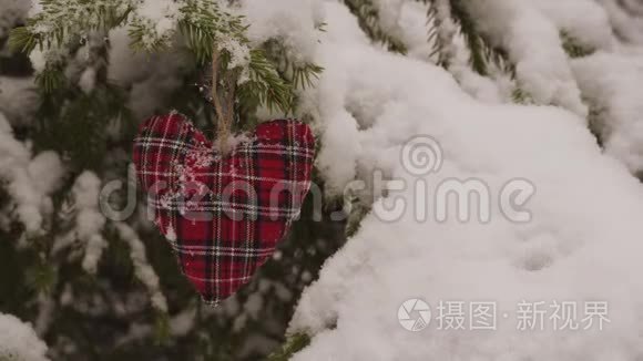 挂在雪杉树上的手工圣诞装饰视频