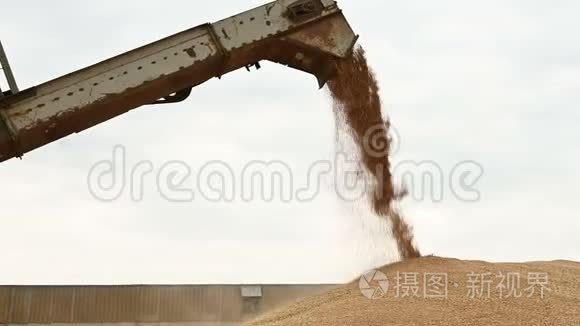 示范从联合或分拣机到货物容器或露天的小麦颗粒的稳定流动