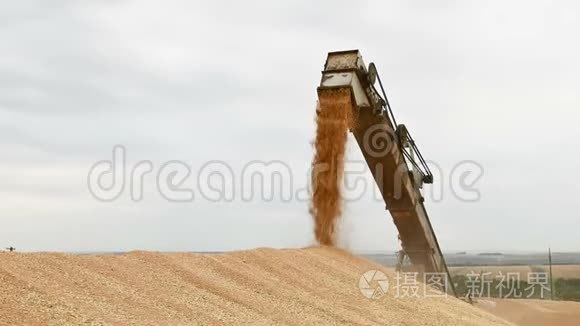 示范从联合或分拣机到货物容器或露天的小麦颗粒的稳定流动