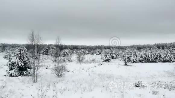 低海拔雪景相机拍摄冬季景观树