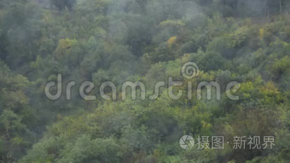 森林里下着轻松的小雨视频