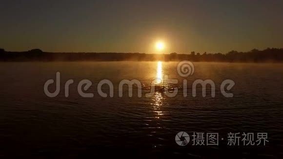 空中-专业游泳运动员在日出时在湖中训练。