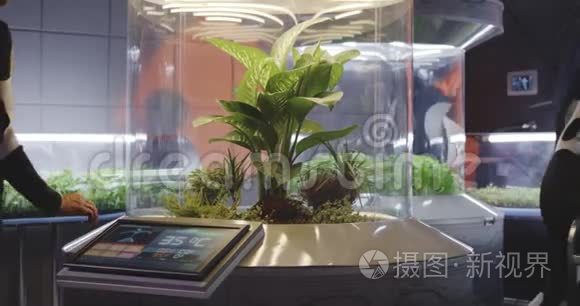 天体生物学家检查植物孵化器视频