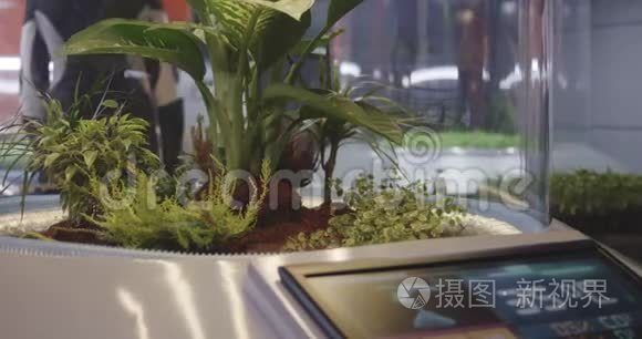 天体生物学家检查植物孵化器视频