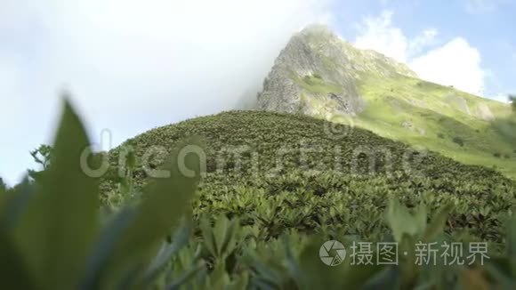 夏时山自然景观白种人视频
