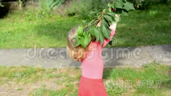 从树上吃红樱桃的女孩视频