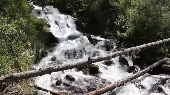 阿尔泰山脉一条山涧上的木木桥视频