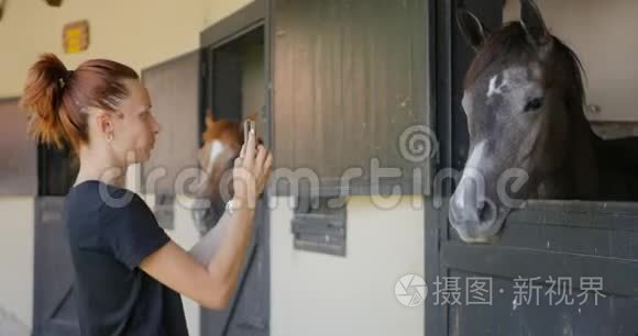 拍马照片的年轻女子视频