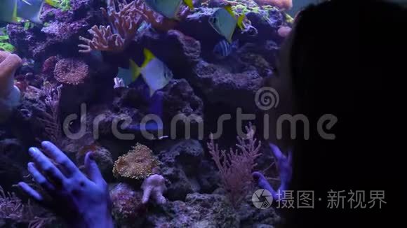 在水族馆看鱼的女人视频