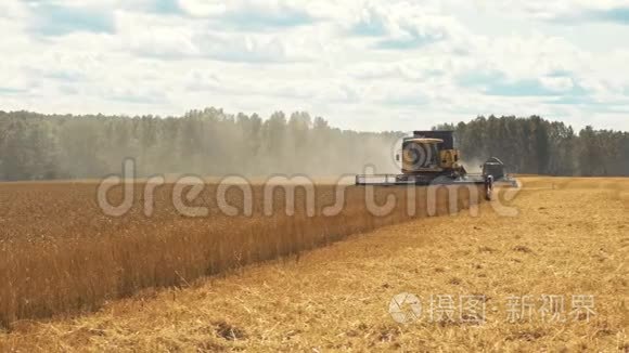 联合收割机在农田收割小麦视频