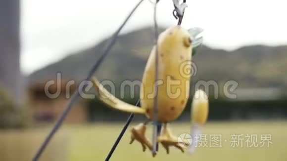 阴云密布的鸟风风铃在风中摇曳视频