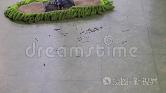 兰毛毡地板被除尘视频