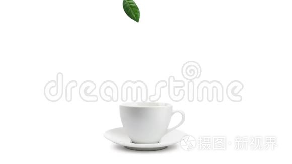 茶叶掉进杯子里视频