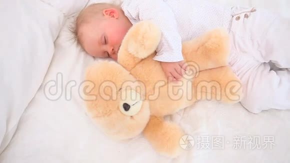 宝宝和泰迪熊睡觉视频