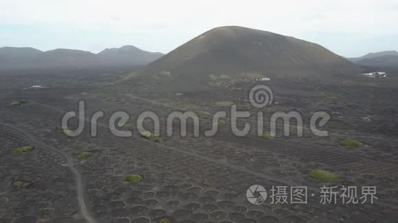 兰萨罗特黑火山土壤上的葡萄园。 在拉吉利亚葡萄酒种植的空中风景