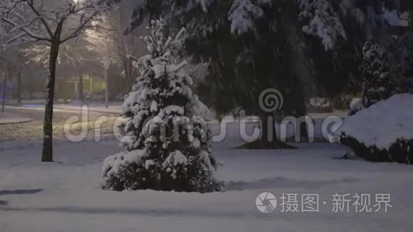 夜幕降临在城市一栋公寓的路灯的背景下