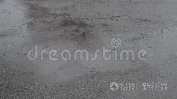 雨天和水坑视频