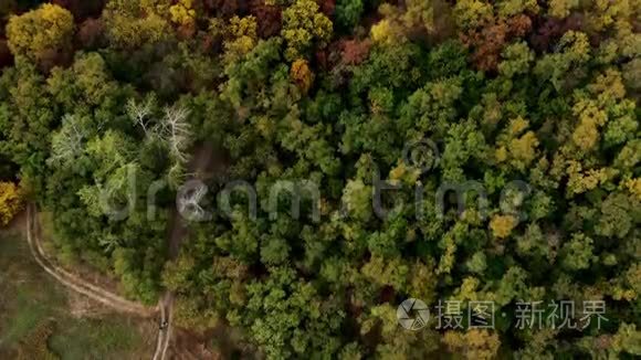 秋天森林和河流的的景观视频