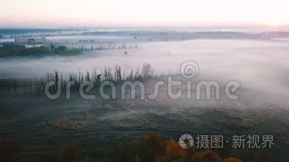 美丽雾乡寒性.. 田间与植物在海霜。 孤独的树。 空中无人机视频片段。