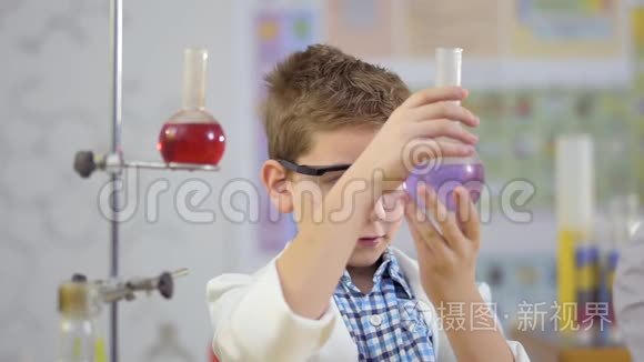 小男孩在实验室里研究紫色液体