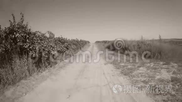 卡车在乡间道路上行驶，留下灰尘