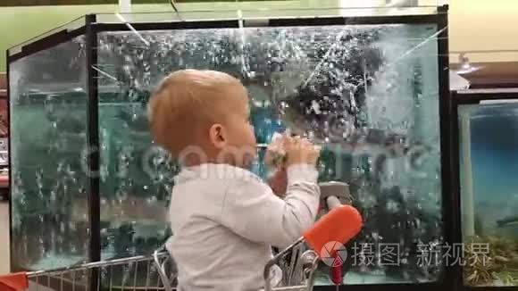 小男孩看着超市里水族馆里的鱼